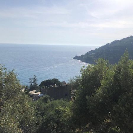 Casa Orchidea - Vista Mare Meravigliosa โบนัสโซลา ภายนอก รูปภาพ