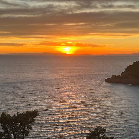 Casa Orchidea - Vista Mare Meravigliosa โบนัสโซลา ภายนอก รูปภาพ