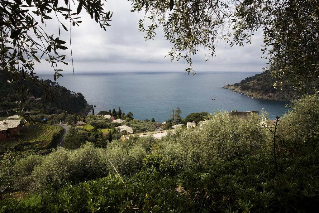 Casa Orchidea - Vista Mare Meravigliosa โบนัสโซลา ห้อง รูปภาพ